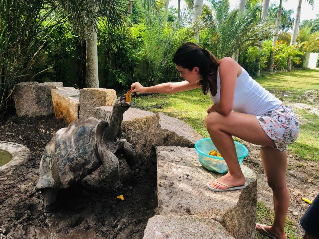 La Modestie Guest House Grand Anse  Bagian luar foto