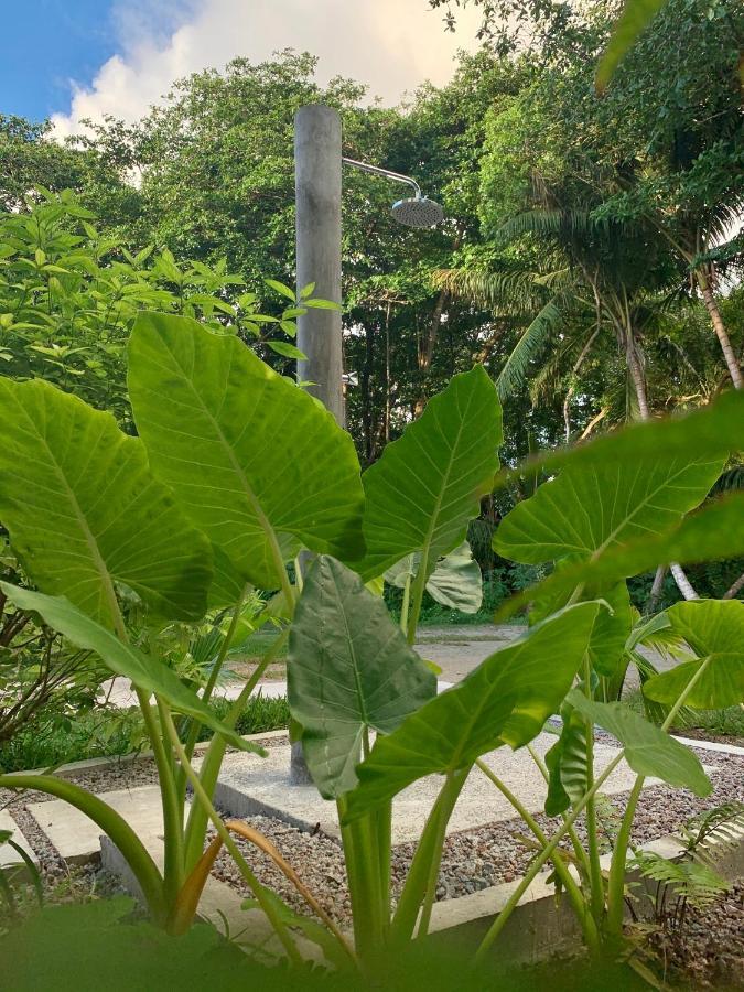 La Modestie Guest House Grand Anse  Bagian luar foto